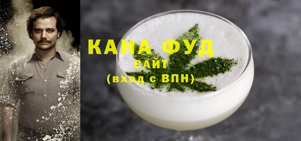 индика Карпинск