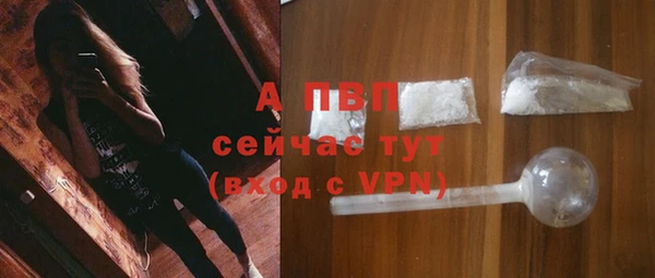 СК Богородицк