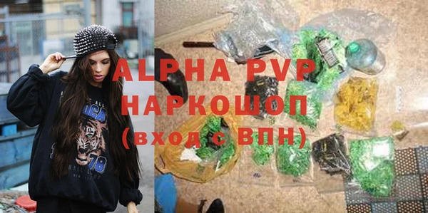 СК Богородицк
