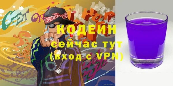 СК Богородицк
