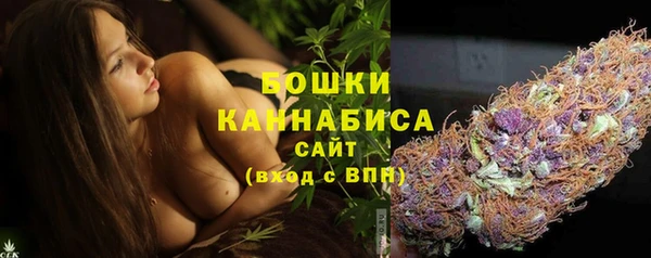 СК Богородицк